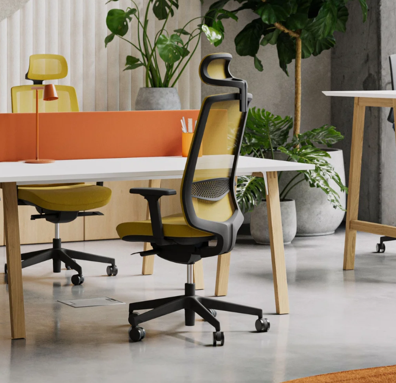 Victory - imagine 11