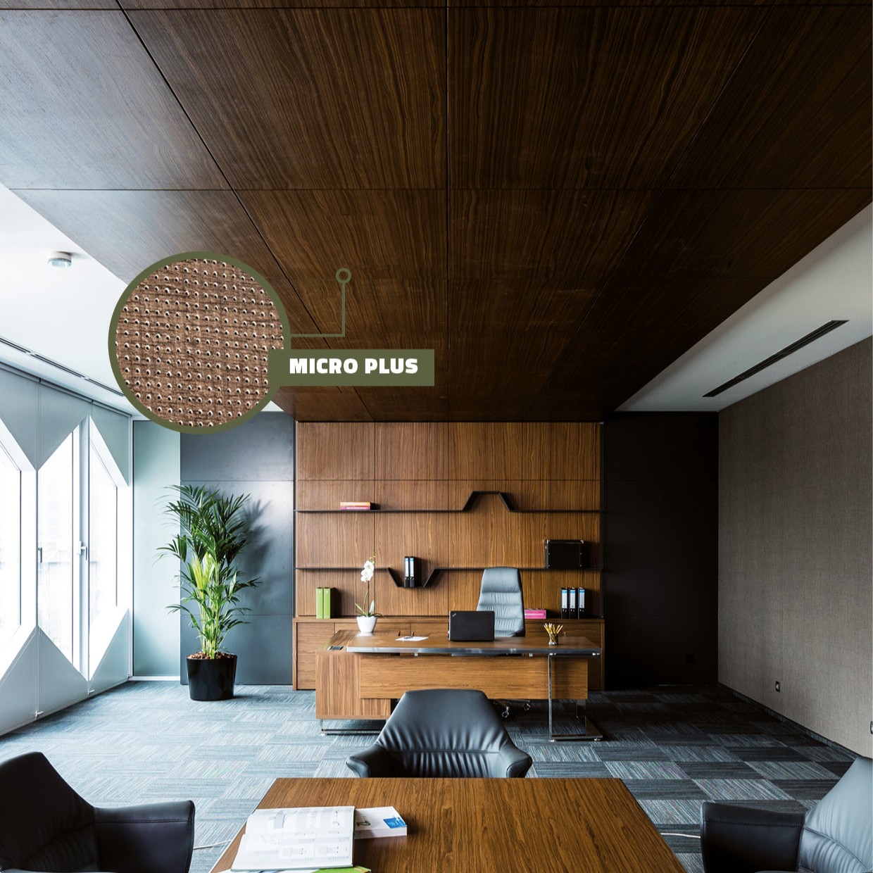 MicroPlus - imagine 2